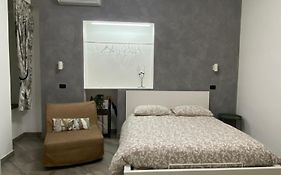 Studios Toledo 355